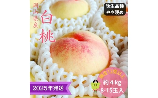 【2025年先行受付】 白桃 特秀 ロイヤル 大玉 晩生品種 約4kg(8～15玉) 岡山県産 桃 もも モモ 御中元 ギフト 御礼 プレゼント 御礼 御祝 御供 果物 くだもの フルーツ [№5735-3333]