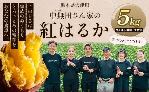 熊本県大津町産 中無田農園の紅はるか 約5kg (大中小サイズ不揃い) 熊本県大津町 《1-5日以内に出荷(土日祝除く)》 さつまいも 芋 スイートポテト 干し芋にも 名産地 特産品 秋 旬 551564 - 熊本県大津町