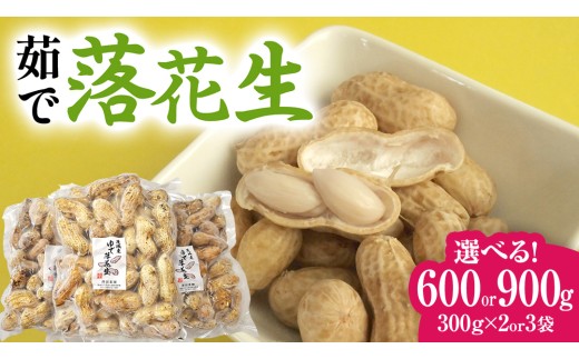 【 選べる 袋数 】 牛久市産 茹で 落花生 1袋 300g入り《 2袋 or 3袋 》 茹で落花生 ゆで落花生 ピーナッツ ナッツ 詰合せ 豆 無塩 塩分不使用 おつまみ おやつ お菓子 素焼き マメ まめ 料理 お茶漬け 国産 小分け お取り寄せ グルメ 茨城県