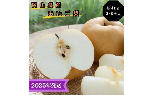 【2025年先行受付】 梨 あたご梨  秀品 約4kg(3～6玉) 岡山名産 日本一大きな梨 なし ナシ お歳暮 ギフト 御礼 プレゼント 御礼 御祝 御供 果物 くだもの フルーツ [№5735-3346]