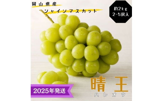 【2025年先行受付】 シャインマスカット 晴王 秀品 大房 約2kg(2～5房) 岡山県産 ぶどう 葡萄 ブドウ ギフト 御礼 プレゼント 御礼 御祝 御供 果物 くだもの フルーツ [№5735-3341]