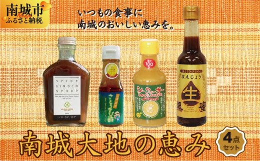 南城大地の恵み4点セット