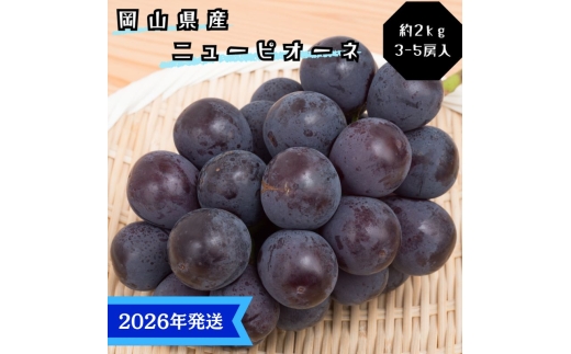 【2026年先行受付】 ぶどう ニューピオーネ 秀品 約2kg(3～5房) 岡山県産 ぶどう 葡萄 ブドウ ギフト 御礼 プレゼント 御礼 御祝 御供 果物 くだもの フルーツ [№5735-3365]