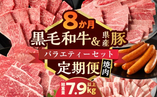 【10月1日より寄附額改定】≪8か月定期便≫黒毛和牛＆県産豚バラエティーセット(焼肉)総重量7.9kg以上 肉 牛 牛肉 国産_T030-180