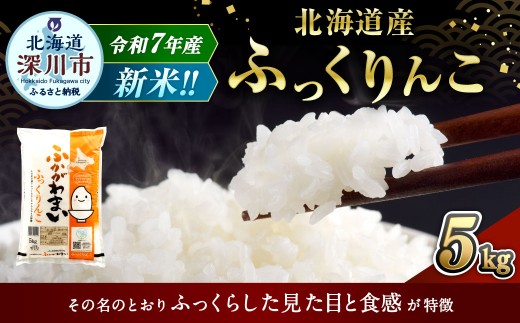 【2025年11月発送分】 《令和7年産》 北海道深川産 ふっくりんこ （普通精米） 5kg （5kg×1袋） お米 米 白米 精米 単一原料米 ごはん ご飯 国産 北海道 深川市 2195435 - 北海道深川市