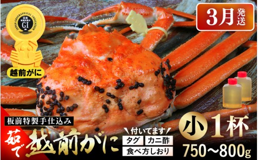 ≪茹で≫越前がに小（タグ付き）1杯（生で750～800g）カニ酢90cc付 板前特製手仕込み 食べ方しおり付き【雄 ズワイガニ かに カニ 蟹 越前ガニ 姿 ボイル 冷蔵 福井県】【3月発送分】希望日指定可 備考欄に電話番号をご記入ください [e29-x001_03]