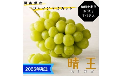 【2026年先行受付】 シャインマスカット 晴王 10回 定期便 秀品 大房 岡山県産 ぶどう ギフト 御礼 プレゼント 御礼 御祝 御供 果物 くだもの フルーツ [№5735-3344]