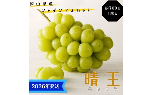 【2026年先行受付】 シャインマスカット 晴王 特選 大房 約700g 1房  化粧箱入 岡山県産 ぶどう 葡萄 ブドウ ギフト 御礼 プレゼント 御礼 御祝 御供 果物 くだもの フルーツ [№5735-3360]