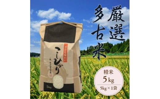厳選多古米コシヒカリ　精米5kg　令和7年産【1647790】 2212827 - 千葉県多古町