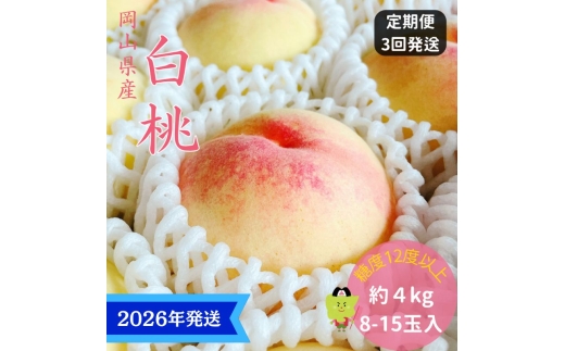 【2026年先行受付】 白桃 3回 定期便 特秀 ロイヤル 大玉 岡山県産 桃 もも モモ 御中元 ギフト 御礼 プレゼント 御礼 御祝 御供 果物 くだもの フルーツ [№5735-3334]