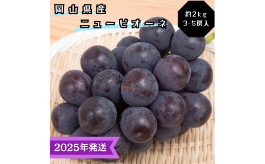【2025年先行受付】 ぶどう ニューピオーネ 秀品 約2kg(3～5房) 岡山県産 ぶどう 葡萄 ブドウ ギフト 御礼 プレゼント 御礼 御祝 御供 果物 くだもの フルーツ [№5735-3345]