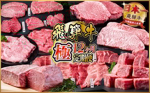＜毎月定期便＞飛騨牛 極定期便 計12.9kg＜冷蔵便＞A4～A5等級 シャトーブリアンほか全12回_定期便 肉 飛騨牛 ブランド牛 ステーキ 焼肉 しゃぶしゃぶ ローストビーフ 冷蔵 人気 おすすめ 送料無料 贈答 ギフト【4055987】