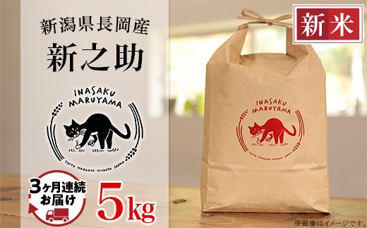 L4-S053【3ヶ月連続お届け】新潟県長岡産 新之助 5kg 2195545 - 新潟県長岡市