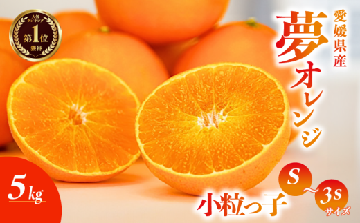 【訳あり品】みかん職人の夢オレンジ 小粒っ子 5kg おれんじ みかん 柑橘 果物 フルーツ 愛媛 みかん職人武田屋 蜜柑 愛果28号 愛媛果試第28号 まどんな 小玉 蜜柑 糖度 センサー 計測 規準 甘い 甘さ みかん かんきつ らんきんぐ 柑橘 冬 旬 食べごろ 農家 農家直送 農園 人気 みかん職人 武田屋 産直 みかん職人武田屋 愛媛県