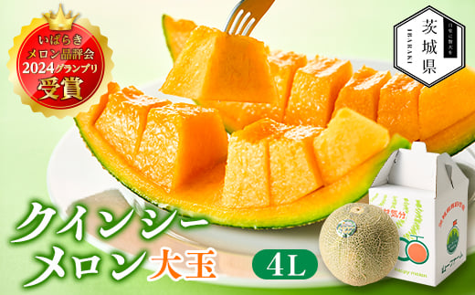 ＜先行受付＞令和8年4月順次発送 茨城県鉾田市 山一ファーム クインシーメロン 大玉4L～5L・1玉【1590730】 1986071 - 茨城県茨城県庁