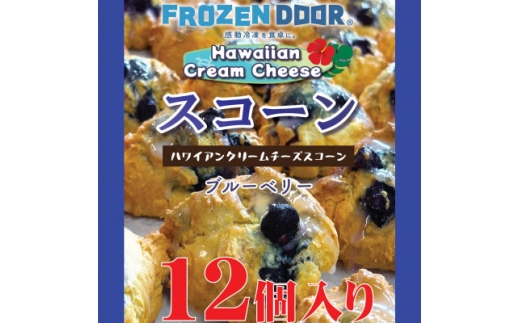 ＜12個入り＞ブルーベリーの酸味と甘みが引き立つハワイアンスコーン(ブルーベリー)《冷凍》【1630838】 2217262 - 大阪府富田林市