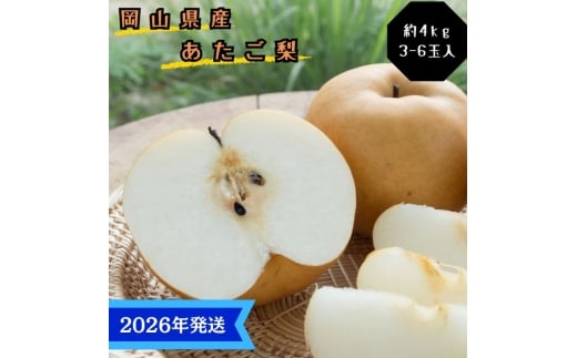 【2026年先行受付】 梨 あたご梨  秀品 約4kg(3～6玉) 岡山名産 日本一大きな梨 なし ナシ お歳暮 ギフト 御礼 プレゼント 御礼 御祝 御供 果物 くだもの フルーツ [№5735-3366]