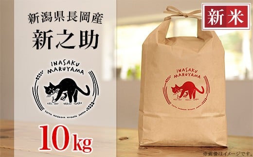 L4-S101新潟県長岡産 新之助 10kg 2195547 - 新潟県長岡市