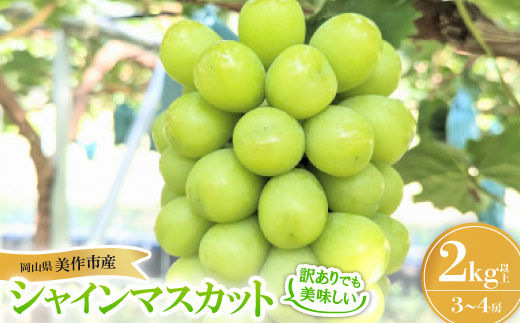 ＜訳あり＞シャインマスカット 2Kg【1631232】 2151753 - 岡山県美作市