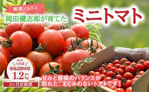 【定期便】野菜 ソムリエ 岡田健志郎が育てた ミニトマト 1.2kg 3回発送 定期便