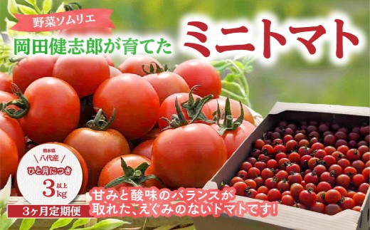 野菜ソムリエが美味しいトマトを厳選してお届けいたします。