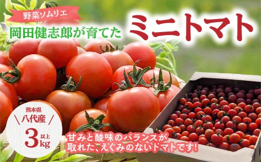 野菜ソムリエが美味しいトマトを厳選してお届けいたします。