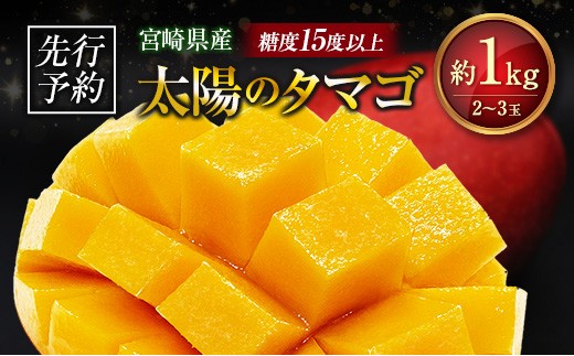 ≪先行予約≫ 宮崎県産 完熟マンゴー「太陽