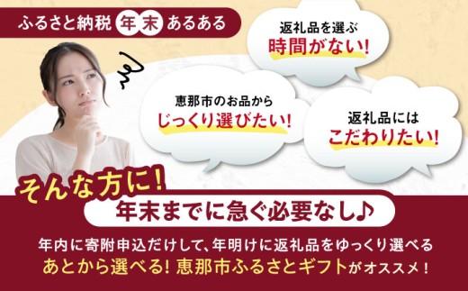 【あとから選べる】 岐阜県恵那市ふるさとギフト 寄附40万円分 [AUFQ013]