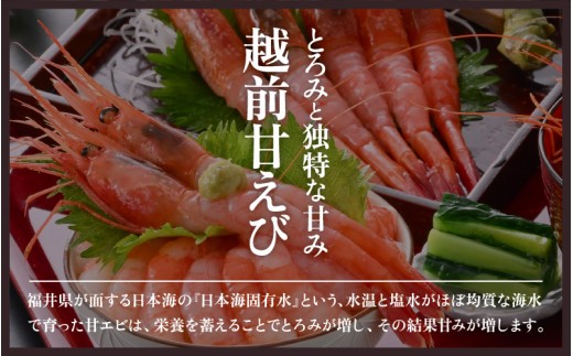 福井県美浜町のふるさと納税 天然！越前甘エビ (卵なし) 大サイズ 約500g × 1箱 (約30尾入り) 解凍方法説明書付き 船内凍結 酸化防止剤不使用！ 甘エビ本来の味をお楽しみください えび エビ 海老 甘エビ 甘えび 人気 海鮮 お刺身 魚介 おせち 無添加 冷凍 福井県産 国産[m17-a052]