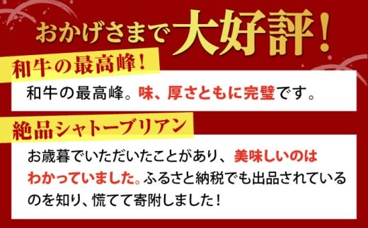 佐賀牛 牛肉 黒毛和牛 ヒレ フィレ ヒレ肉 サーロイン ステーキ A5 セット 贈答品 贈答用 ギフト プレゼント