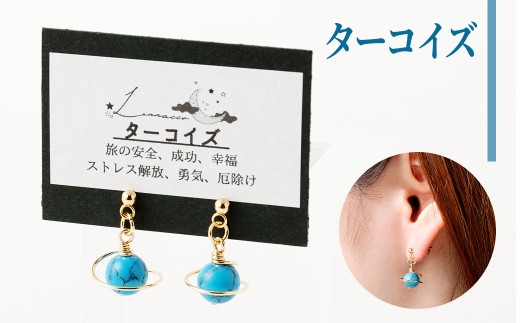 【種類が選べる】 土星 ピアス 1個 