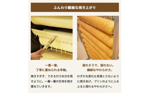 滋賀県近江八幡市のふるさと納税 【PRキャンペーン対象】【クラブハリエ】バームクーヘンｍｉｎｉ　１８個入 個包装【FC04U1】