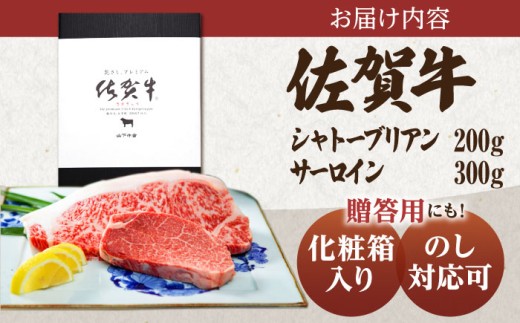 佐賀牛 A5 シャトーブリアンとサーロインの極上セット 計500g【山下牛舎】[HAD145]ヒレ シャトーブリアン 赤身 牛肉