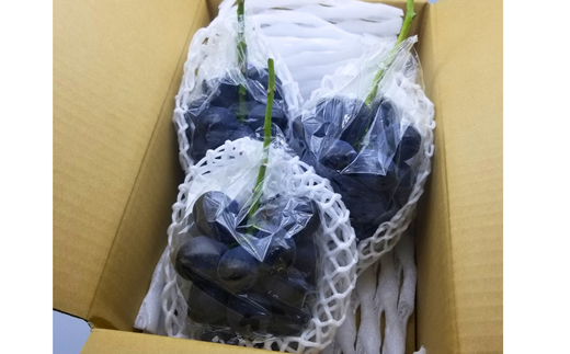 大切に梱包してお届けします。