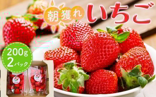 【先行受付】あいのまち相生市産 朝獲れいちご 200g×2パック(2026年2月下旬以降発送) 1172076 - 兵庫県相生市