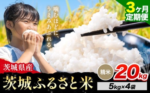 【3か月定期便】米 茨城 ふるさと米 精米 20kg《申込月の翌月より出荷開始》茨城県 河内町 米 国産 お米 おこめ お弁当 おにぎり