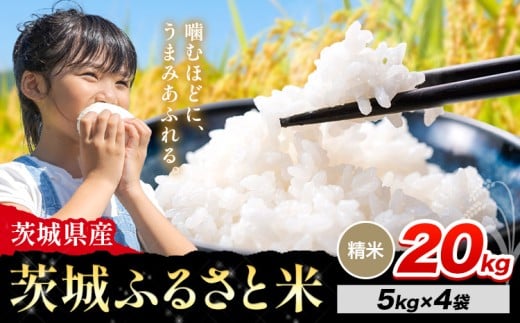 米 茨城 ふるさと米 精米 20kg《10月下旬-11月末頃出荷》茨城県 河内町 米 国産 お米 おこめ お弁当 おにぎり