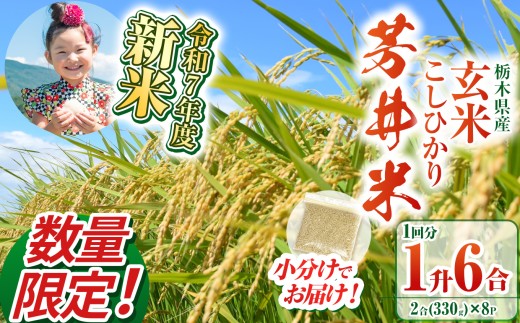 【数量限定】【令和7年度新米先行予約】新米那珂川町産芳井米 玄米 330g（2合分）×8 | こしひかり 新米 米 ごはん  ふっくら もちもち  ふるさと納税 那珂川町 栃木県