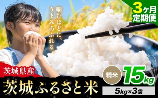 【3か月定期便】米 茨城 ふるさと米 精米 15kg《申込月の翌月より出荷開始》茨城県 河内町 米 国産 お米 おこめ お弁当 おにぎり