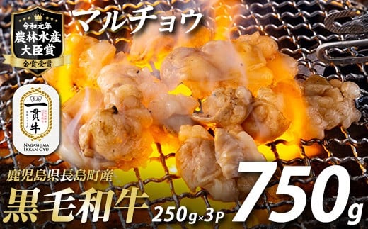 和牛カット済ホルモン（マルチョウ）250g×3パック 計750g ホルモン 牛肉 丸腸 焼肉 ホルモン 牛もつ もつ鍋 f-miyaji-6049