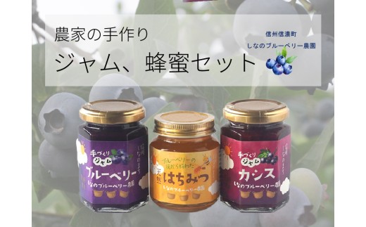 しなのブルーベリー農園「信濃町産ジャム詰め合わせ」 ブルーベリージャム150g、カシスジャム150g、ブルーベリーの花の非加熱はちみつ160gの3個セット【長野県信濃町】 2195858 - 長野県信濃町