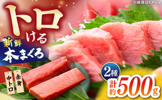 本まぐろ 中トロ 赤身 各約250g 合計約500g [株式会社 七和] / まぐろ 鮪 赤身 あかみ トロ 中トロ 刺身 さしみ まぐろトロ まぐろ赤身 高級 セット 本鮪 冷凍 海鮮 魚介 魚 柵 高知県 高知市 養殖 [ATAX029]