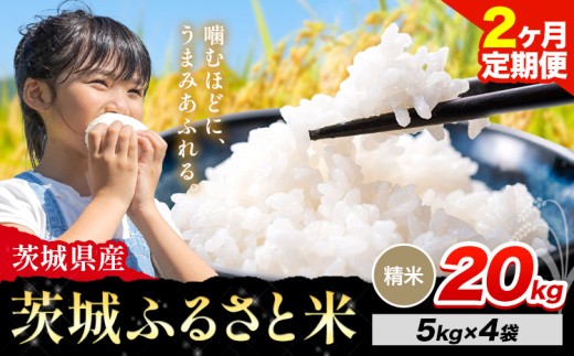 【2か月定期便】米 茨城 ふるさと米 精米 20kg《申込月の翌月より出荷開始》茨城県 河内町 米 国産 お米 おこめ お弁当 おにぎり