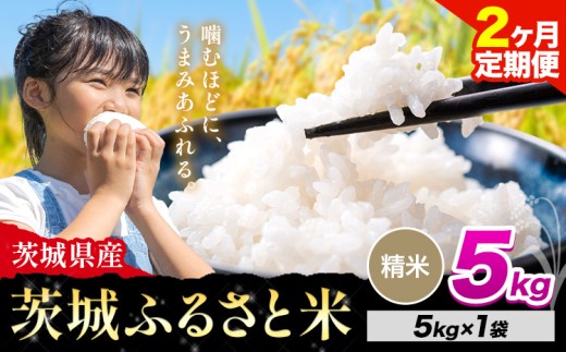 【2か月定期便】米 茨城 ふるさと米 精米 5kg《申込月の翌月より出荷開始》茨城県 河内町 米 国産 お米 おこめ お弁当 おにぎり 2283454 - 茨城県河内町