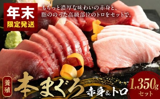 AZ6020_nm_【年末限定発送】本マグロ (養殖) 赤身 ＆ トロ セット 1350g