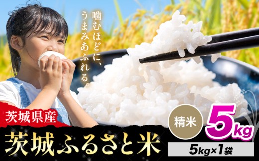 米 茨城 ふるさと米 精米 5kg《10月下旬-11月末頃出荷》茨城県 河内町 米 国産 お米 おこめ お弁当 おにぎり 2283453 - 茨城県河内町