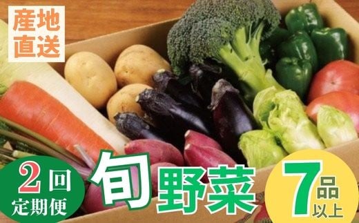 季節のお野菜詰め合わせセット 定期便 2回 旬のおまかせ 詰め合わせ 産地直送 季節の新鮮 野菜 定期便 果物 セット じゃがいも きゅうり トマト とうもろこし アスパラガス 玉ねぎ 蓮根 等  ふるさと納税 高知県 室戸市 rk051 