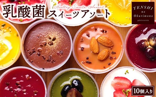 乳酸菌スイーツアソート10個入 　パティスリー天使のおくりもの　※離島への配送不可 2219348 - 茨城県土浦市