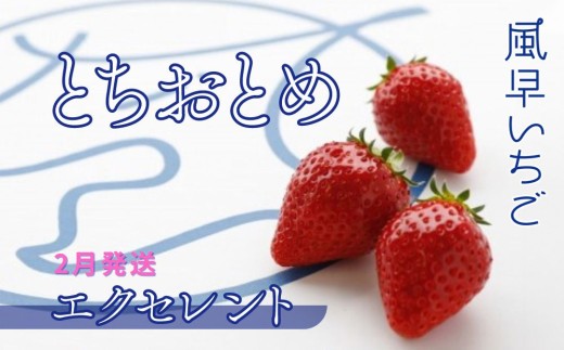 とちおとめ出品 Amazon.co.jp: 【 イチゴ 】 選べる イチゴ 苗 1ポット 9cm