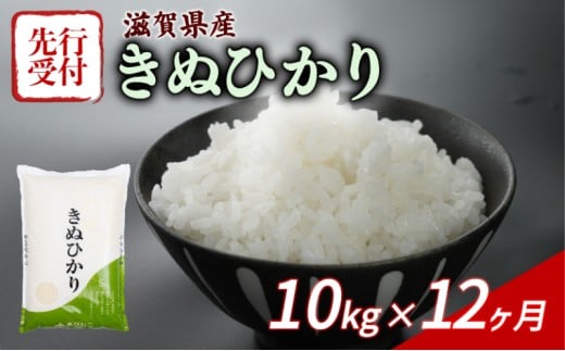 【令和7年産先行受付】 きぬひかり 10kg ( 5kg ×2) 12回定期便 令和7年産 定期便 新米 米 精米 こめ コメ お米 ご飯 米 キヌヒカリ 先行受付 米定期便 12か月定期便 12ヶ月定期便 12回 12ヶ月 12か月 滋賀 彦根